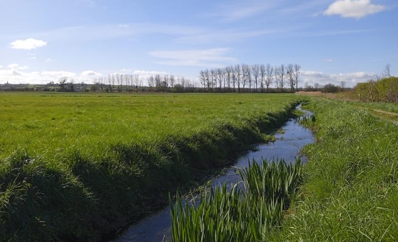 marais de l aure - D. Bréus