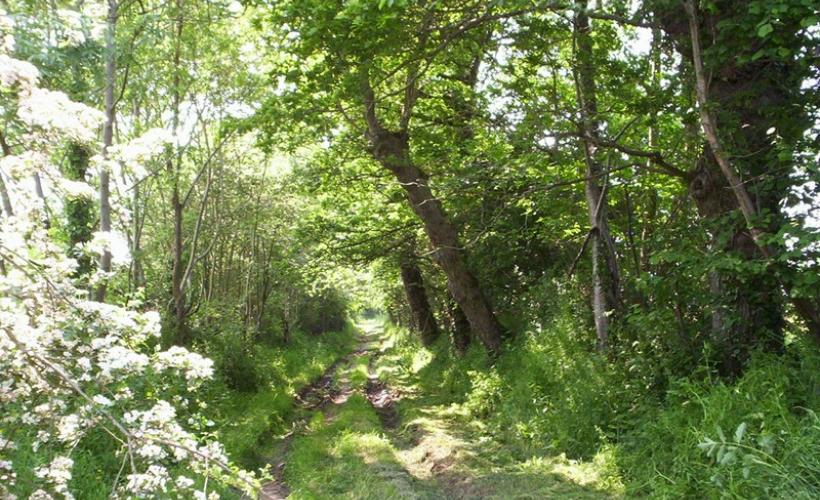 Chemin de randonnée Saint Marcouf du Rochy - OTI IOI