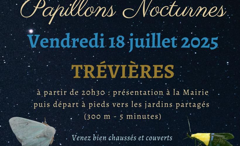 Découverte des papillons 2025 - 1 - Mairie de Trévières