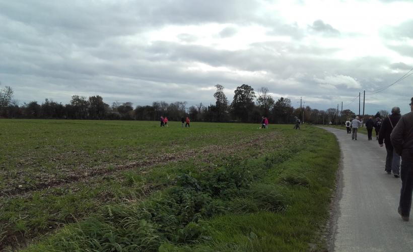 rando automnale Géfosse-Fontenay 2017 (6) - OTI IOI
