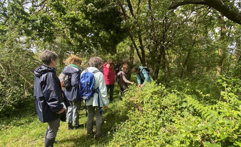 CPIE_Sortie Plantes comestibles Mathon - @Stauth