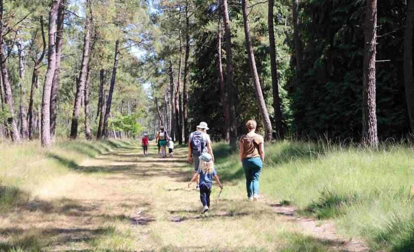 éveil-forêt-landes - MArgaux Choquet