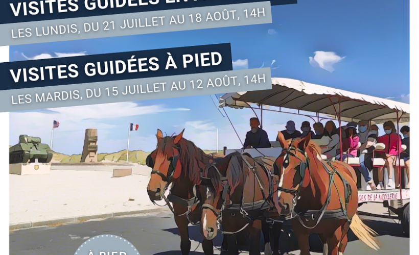 Visite commentée en attelage sur la Baie des Veys - 1 - OT BDC