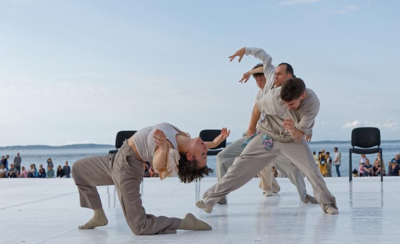 VES_Mosaik - Christophe Surman