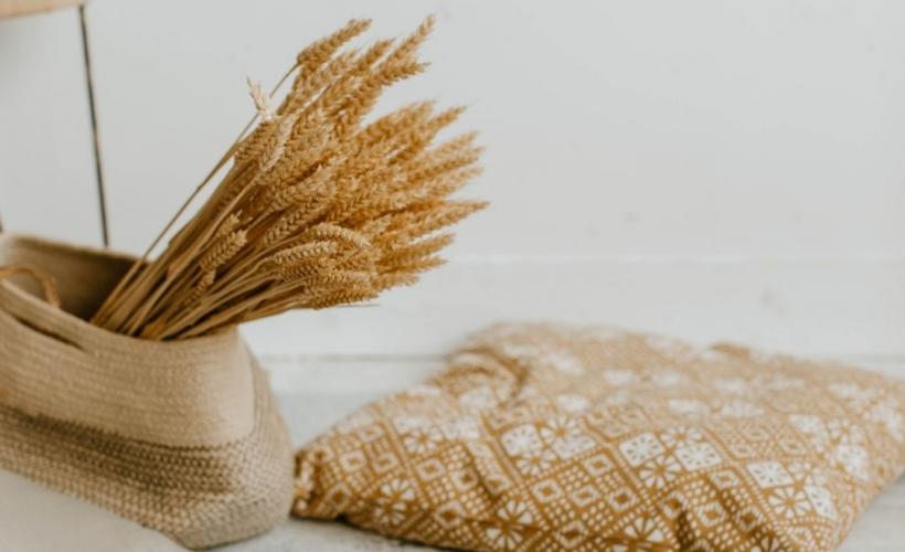 Photos OT animations - Mois Zen : après-midi détente - Médiathèque Lessay