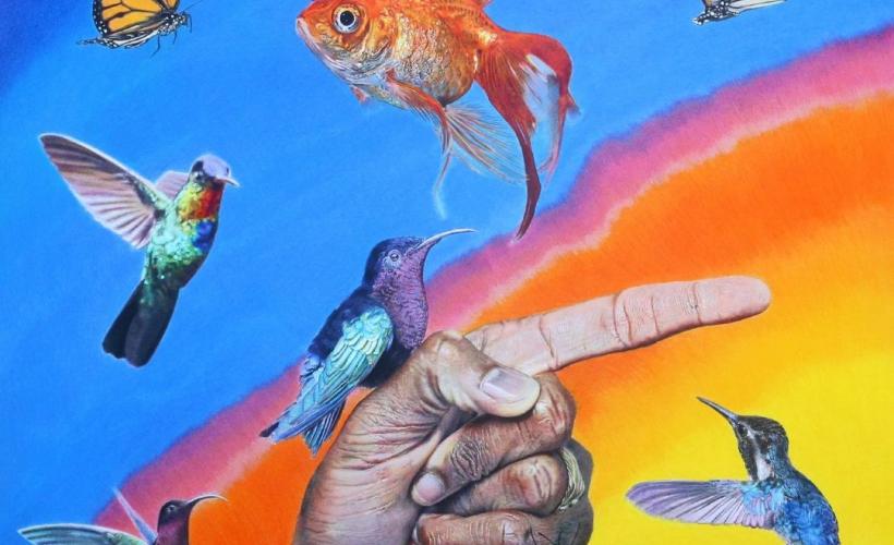 Photos OT animations - Expo DGK - Médiathèque Lessay