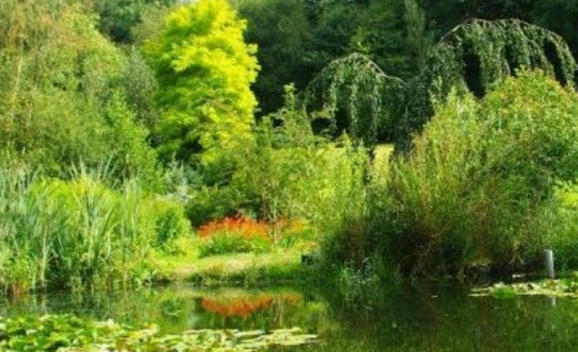 Jardin Le Pré du Moulin - Jardin Le Pré du Moulin