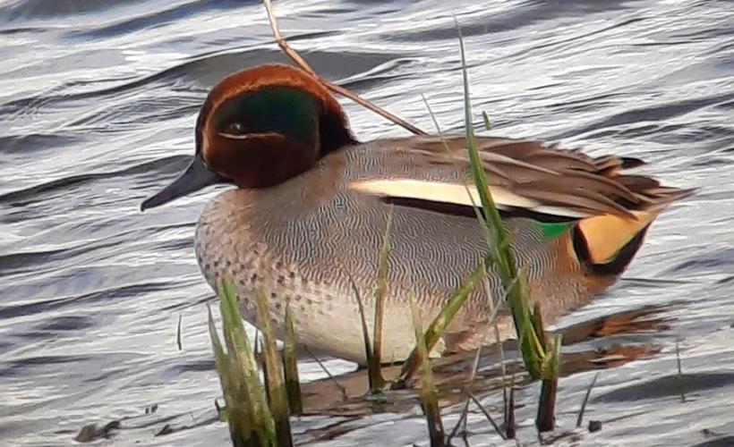 20201201_111724 - PnrMcb