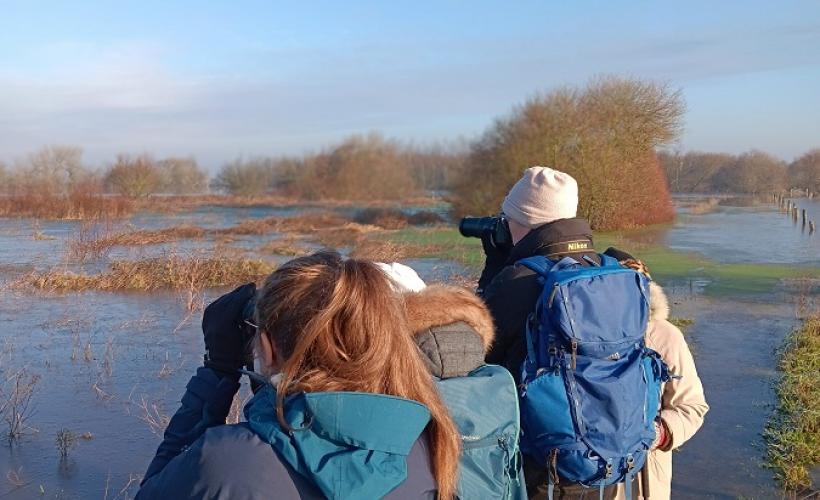 MARAIS-BLANC-GORBES-ELAN-NATURE-2 - ELAN_NATURE