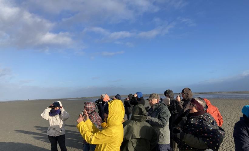 PHOTO_BAIE_DES_VEYS - PNRMCB