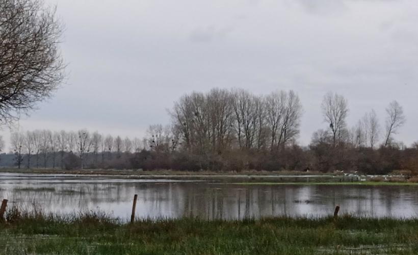 MARAIS_BLANCS - ©ELAN_NATURE