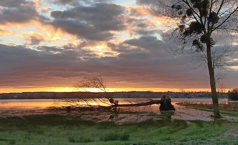 MARAIS_BLANC©ELAN_NATURE - Elan_nature