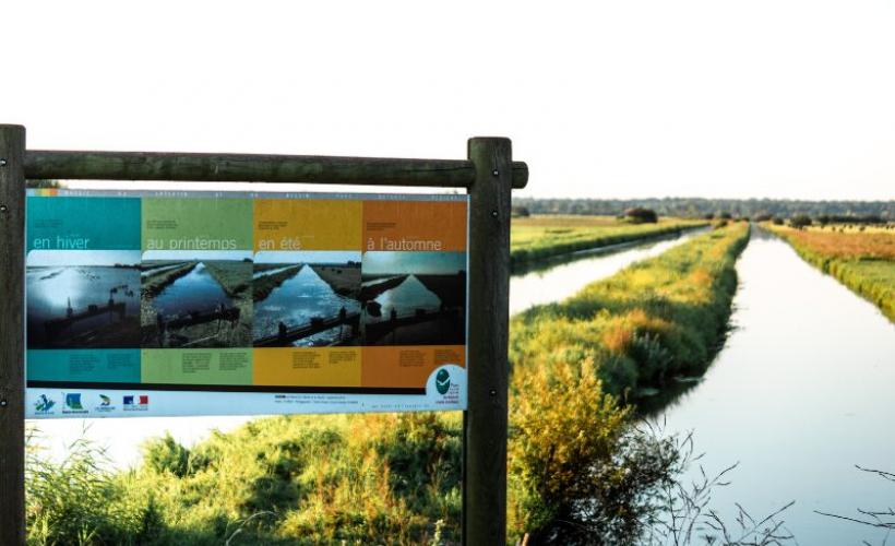 visuel_marais_graignes - Jim-Prod