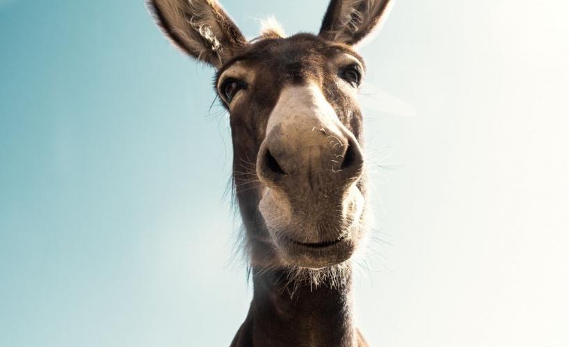 Exposition - Propriétaire