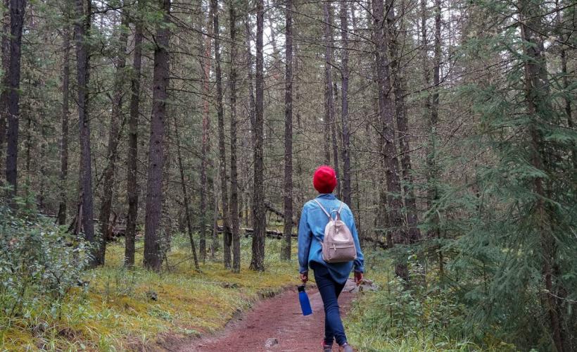 pexels-hyukman-kwon-13412090* - Pexels