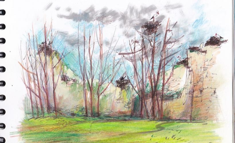 Château de la Rivière - AUDE_MAHUZIER