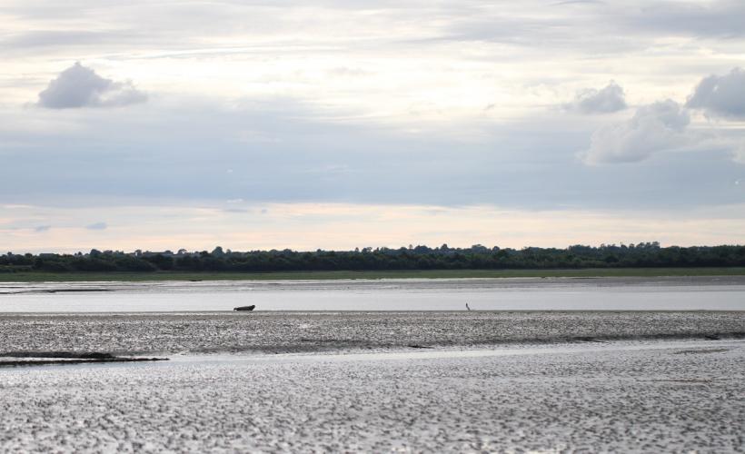 BAIE_DES_VEYS_OISEAUX_PHOQUES - PNRMCB