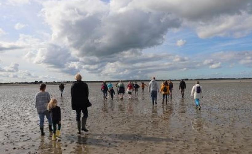 BAIEDESVEYS - ELAN_NATURE