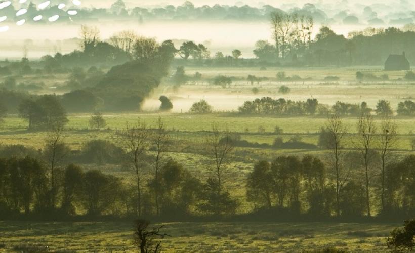 EXPO_MDP_BOCAGE_HOUYEL_2026_A3 - T_HOUYEL