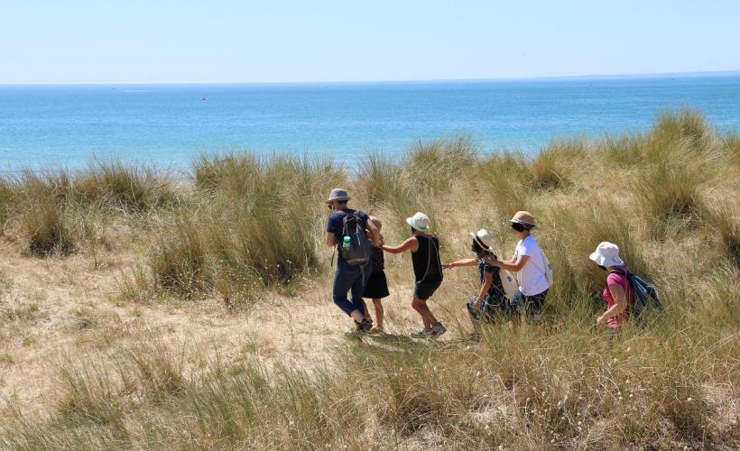 éveil-dunes - ©Margaux-Choquet