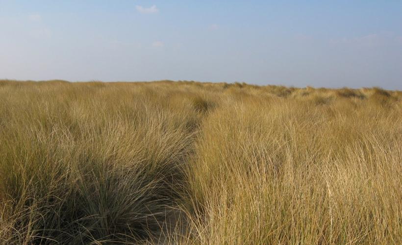 Dunes_CPIE - CPIE du Cotentin