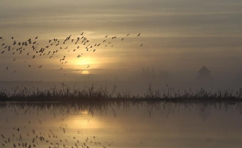 CREPUSCULE_ENS_PONTSDOUVE - ©G_HEDOUIN