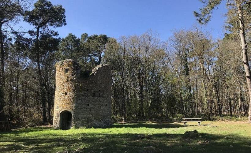 MOULIN_PIROU - ©M_CHOQUET_COCM