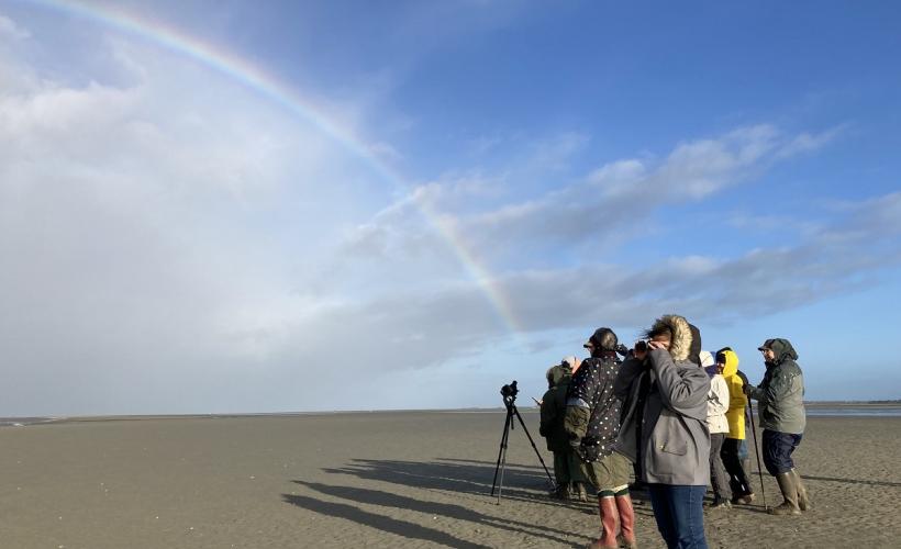 Baie des Veys : Ses oiseaux, ses phoques - PNRMCB
