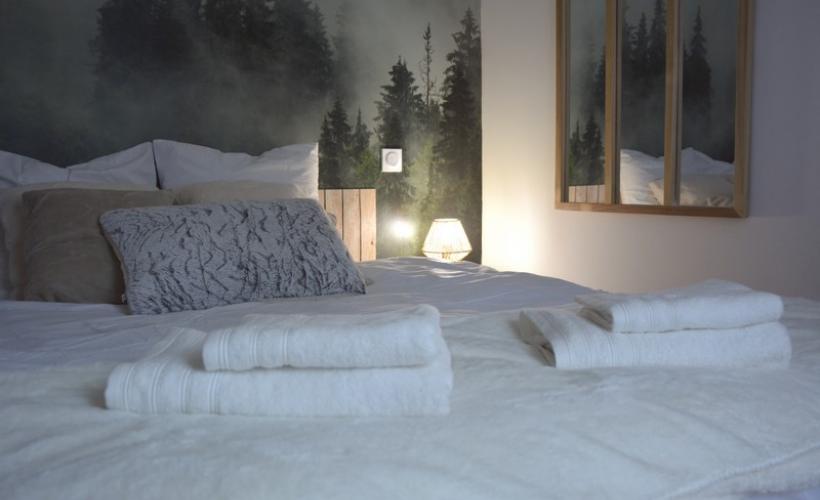 chambre d'hote saint sauveur villages baudic  (4) - baudic
