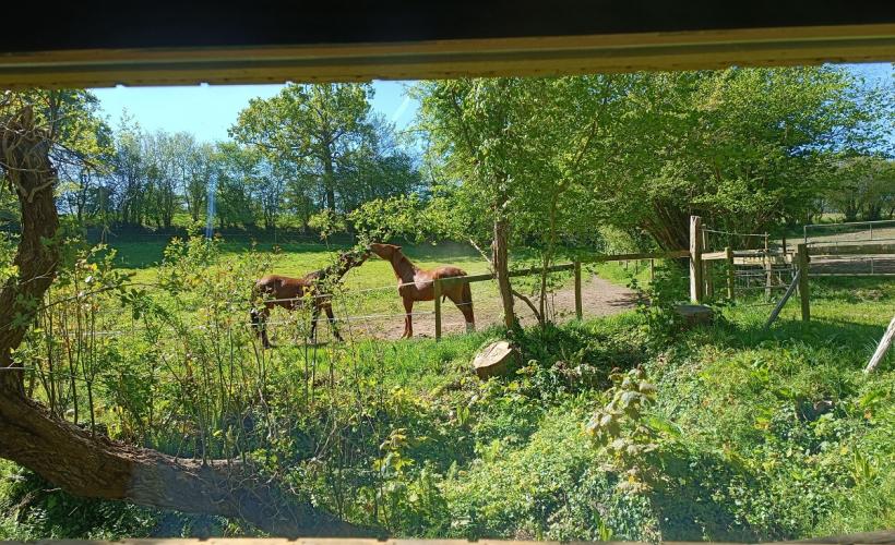 hebergement insolite douard (7) - douard