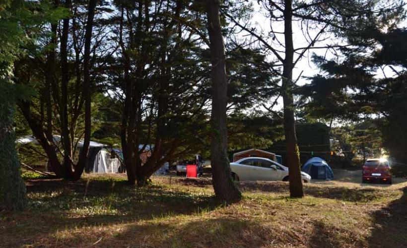 Créances_Camping Les Dunes_1 - PROPRIETAIRE