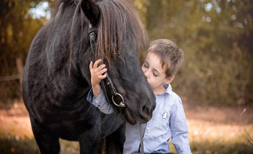 Le cheval emeraude