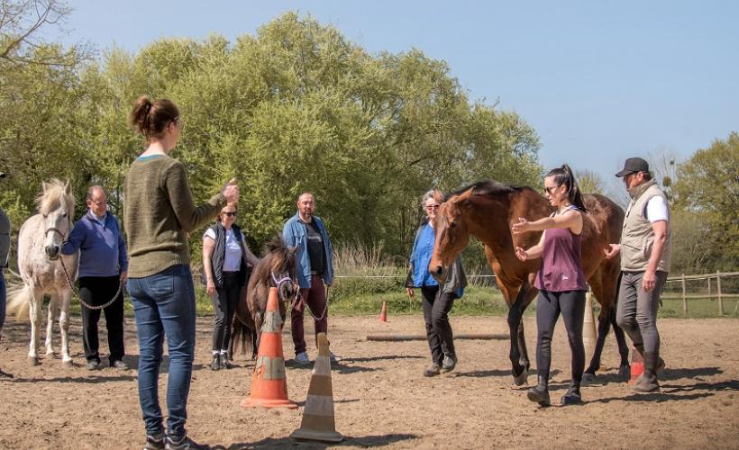 Le cheval emeraude(2)