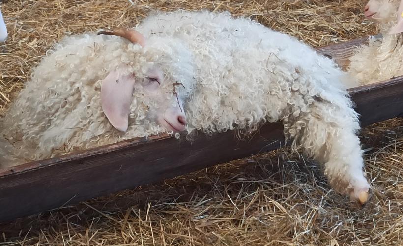 IMG_20250724_171700(1)