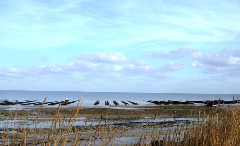 GRANDCAMP MAISY_Parcs à huîtres