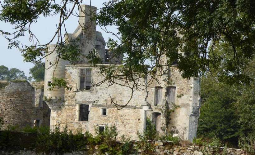 Rémilly sur Lozon_Château de Montfort_1©O.Lehodey