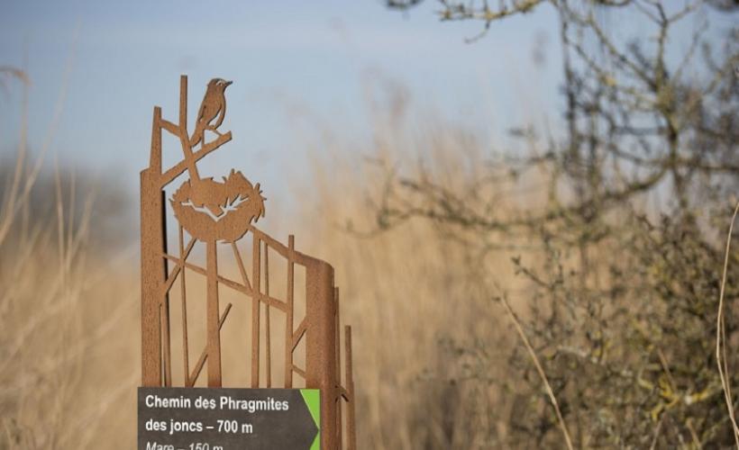 Parcours dans les marais des Ponts d'Ouve