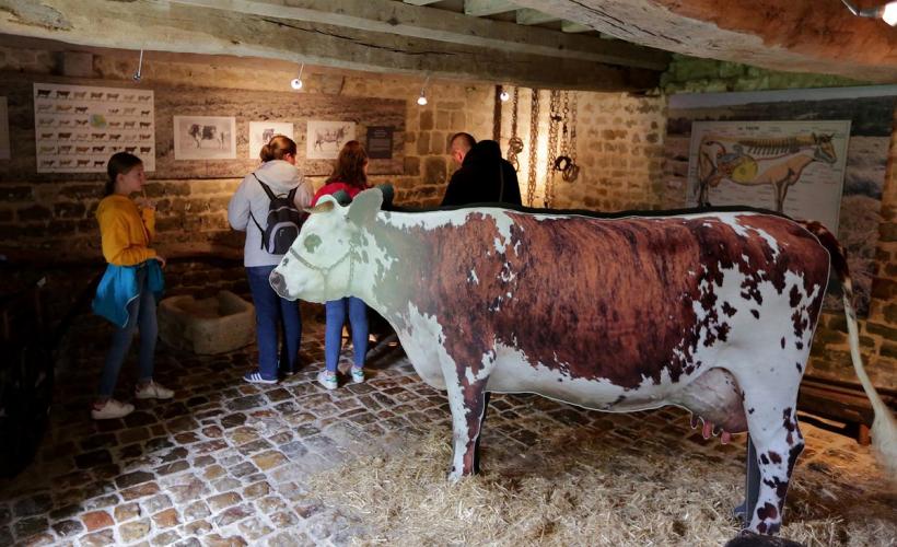ferme-musee-du-cotentin-sainte-mere-eglise-13©DDaguierCD50
