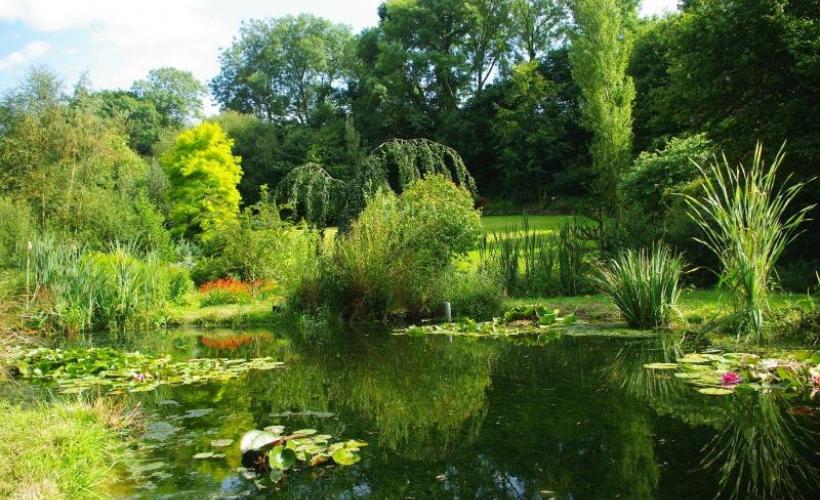 rampan-jardin-le-pre-du-moulin-3