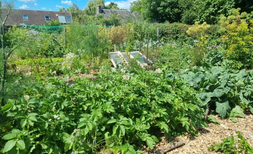 Jardin Amfreville 2022 ©OTBDC