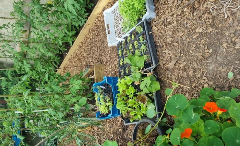 Jardin Amfreville 2022 ©OTBDC (2)