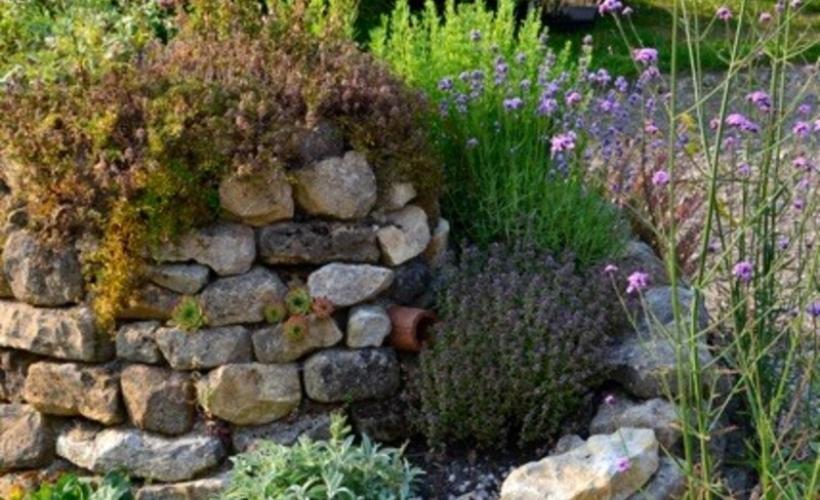 Jardin Amfreville_2017©Ann Idunn
