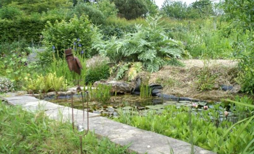 Jardin Amfreville_2017©Ann Idunn (1)