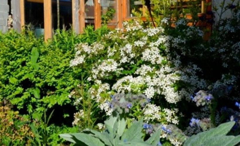Jardin Amfreville_2017©Ann Idunn (4)
