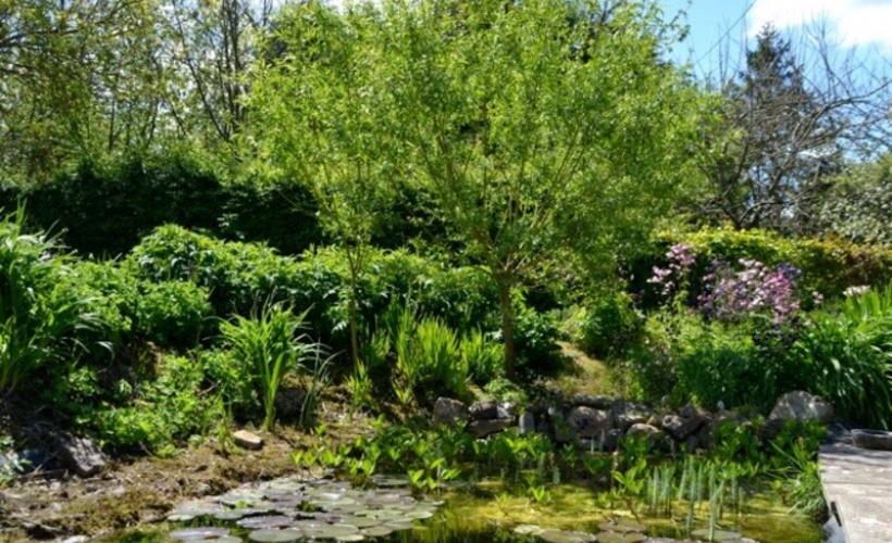 Jardin Amfreville_2017©Ann Idunn (5)