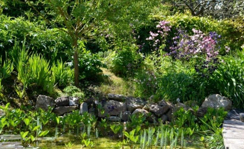 Jardin Amfreville_2017©Ann Idunn (6)