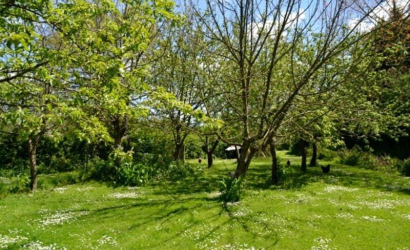Jardin Amfreville_2017©Ann Idunn (7)