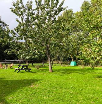 aire-naturelle-gites-equestres-d-auvers-parc-animaux - PROPRIETAIRE