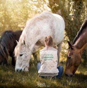 Le cheval emeraude(2)