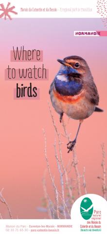 Where to watch birds ?